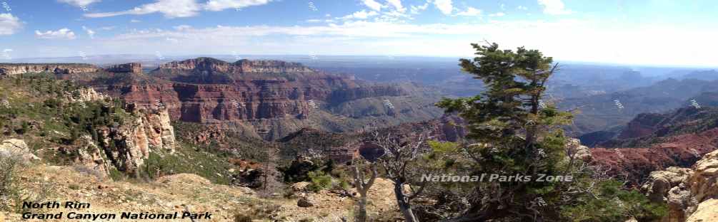 Picture showing a view from the Grand Canyon's North Rim