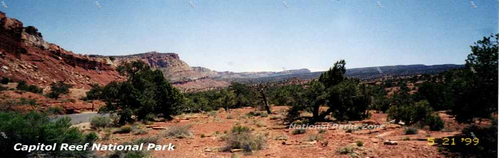 Picture of the Waterpocket Fold in Capitol Reef National Park
