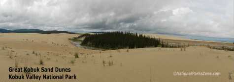 Picture of the Great Kobuk Sand Dunes in Kobuk Valley National Park