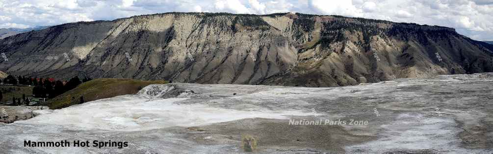 Picture of Mammoth Hot Springs in Yellowstone National Park