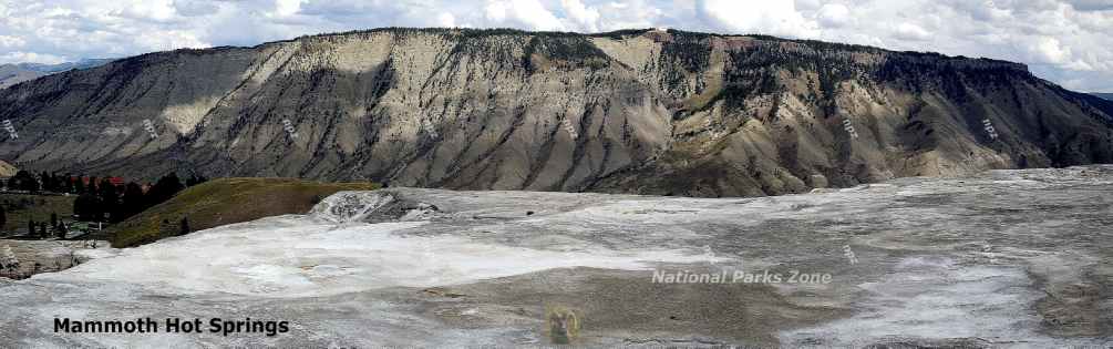 Mammoth Hot Springs in Yellowstone National Park Picture of Mammoth Hot Springs in Yellowstone National Park