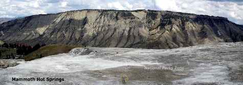 Picture of Mammoth Hot Springs in Yellowstone National Park