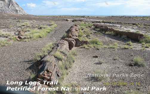 Picture of the Long Logs Trail in Petrified Forest National Park