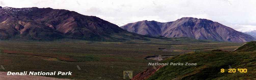 Picture of a beautiful valley and mountains in Denali National Park