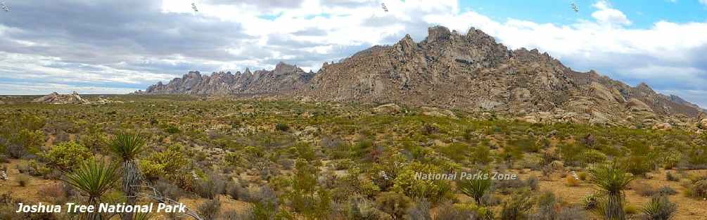 Picture of mountains in Joshua Tree National Park