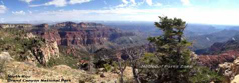 Picture showing a view from the Grand Canyon's North Rim