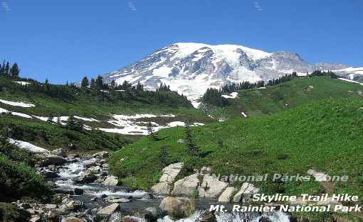 Picture of Mount Rainier as seen from the Skyline Trail