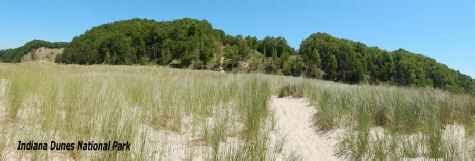 Panoramic picture of Cowles Bog Trail in Indiana Dunes National Park