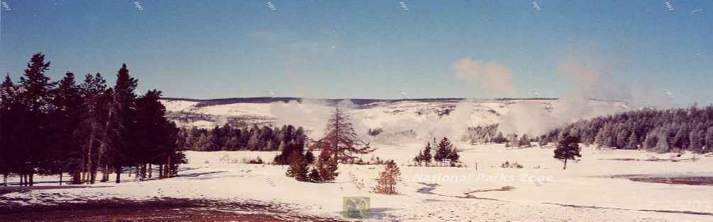 Picture of winter scene in Yellowstone National Park showing steam from geyers