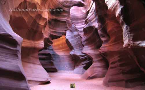 Picture of Upper Antelope Canyon showing the beautiful sculpted walls 