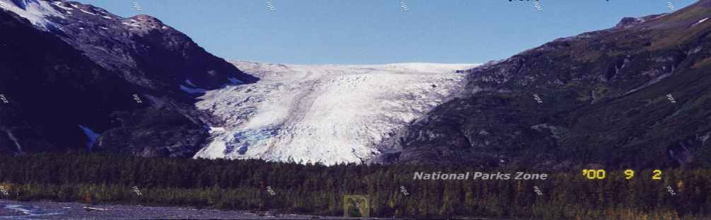 Picture of Exit Glacier in Kenai Fjords National Park, Alaska 