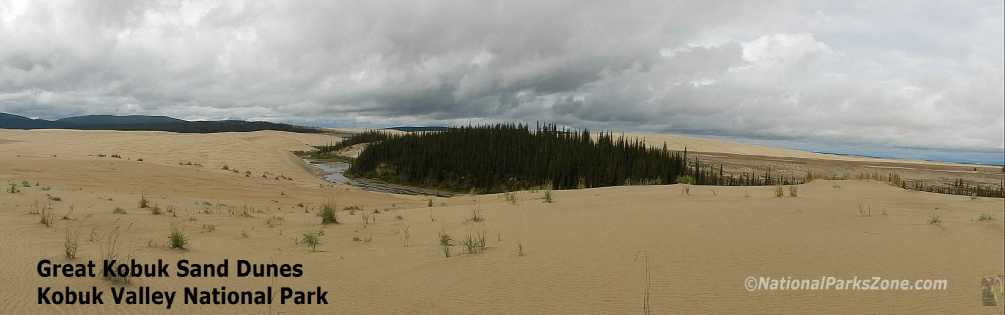 Picture of the Great Kobuk Sand Dunes in Kobuk Valley National Park