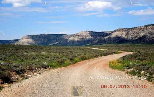 Picture of the road to Toroweap in Grand Canyon National Park