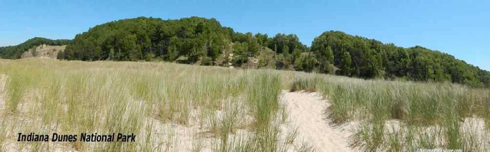 Panoramic picture of Cowles Bog Trail in Indiana Dunes National Park