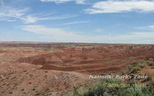 Picture of Petrified Forest Painted Desert National Park