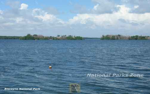 Picture of Elliott Key viewed from the Biscayne National Park visitor center