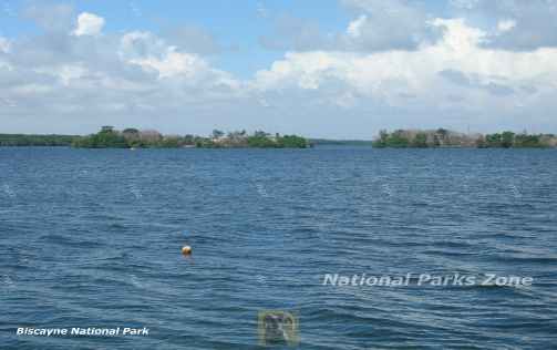 Picture of Elliott Key viewed from the Biscayne National Park visitor center